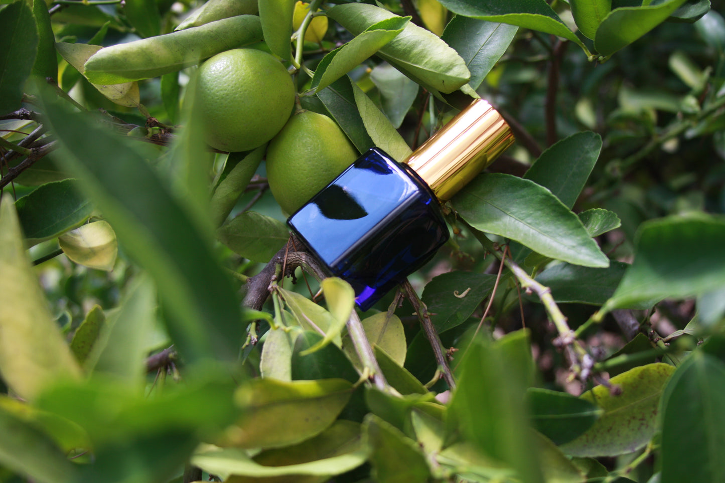 Natural Perfume